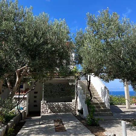 Nikola Seaview - Ivan Dolac, Hvar * Ivan Dolac